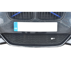 BMW M140i - Lower Grille