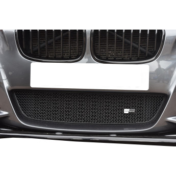 BMW M135i - Lower Grille