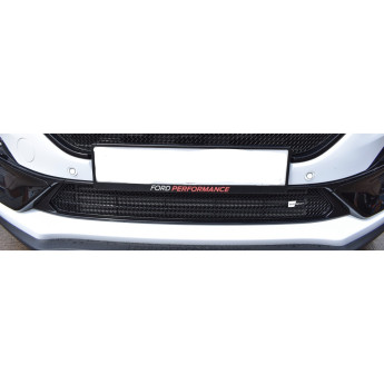 Ford Puma ST - Lower Grille